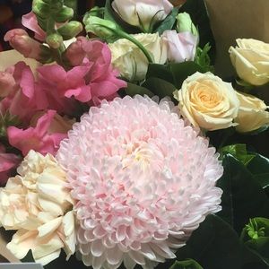 Meet your Posher, Pri